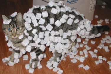 Cat covered with styrofoam packing peanuts