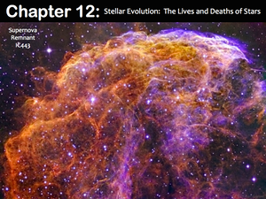 Chapter 12: Stellar Evolution