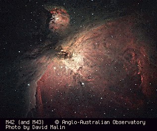 M42 Orion Nebula