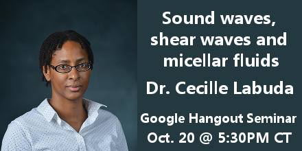 Sound waves, shear waves and micellar fluids